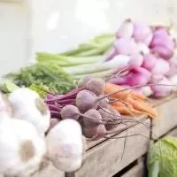 夏天感冒吃什么蔬菜好,吃什么蔬菜预防感冒