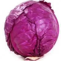 包菜和紫包菜哪个更营养？