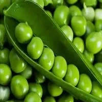 豌豆的功效与作用_豌豆的营养价值