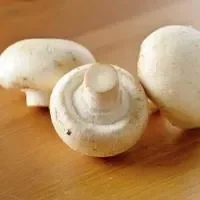 洋菇的做法大全_洋菇芥菜