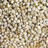藜麦的功效与作用_藜麦的营养价值