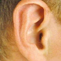 感音性耳聋的形成原因