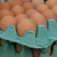 酒酿鸡蛋什么时候吃,酒酿鸡蛋的制作方法