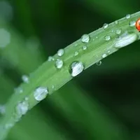 弱碱性沐浴露的成分,挑选沐浴露的方法