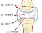 小腿骨膜炎的症状