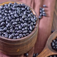 黑豆的养殖方法和注意事项