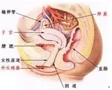 灌肠治疗盆腔炎的治疗方法