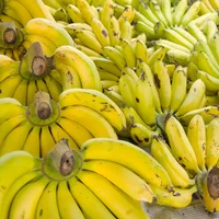 香蕉怎么做，脆皮香蕉的做法