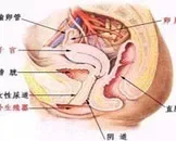 尿路真菌感染有什么样的症状