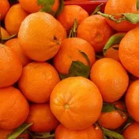 盐蒸橙子真能治疗咳嗽吗,盐蒸橙子有这几大功效