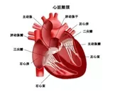 风湿性关节炎一般会引起风湿性心脏病吗