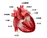 风湿性关节炎和风湿性心脏病有什么关系