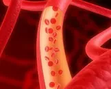 慢性肾功能衰竭导致贫血的主要原因