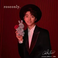 roseonly王俊凯同款兔公仔永生玫瑰礼盒