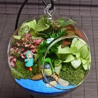 创意苔藓微景观生态瓶