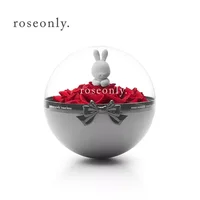 roseonly永生玫瑰礼盒,花球兔玫瑰公仔