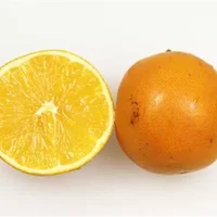 夏橙是反季节水果吗？夏橙的功效与作用