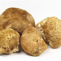 吃猴头菇有哪些好处,猴头菇的功效与作用