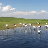 齐齐哈尔十大最好玩的地方，齐齐哈尔旅游攻略必去景点