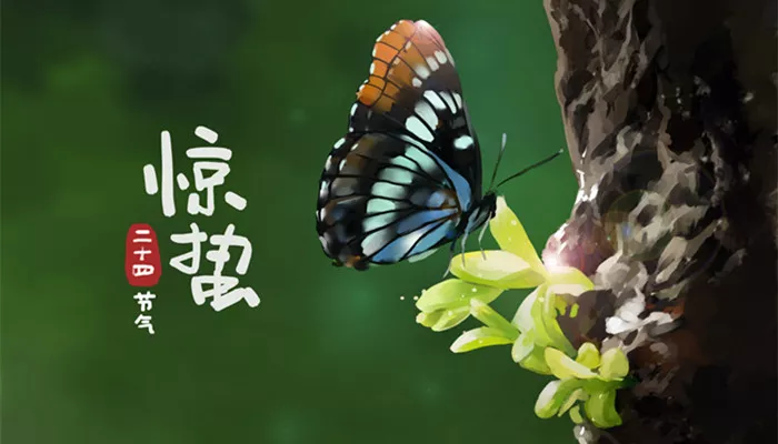 摄图网_400991670_banner_惊蛰（企业商用）_副本.jpg