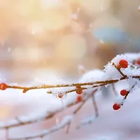 丽江玉龙雪山是哪里