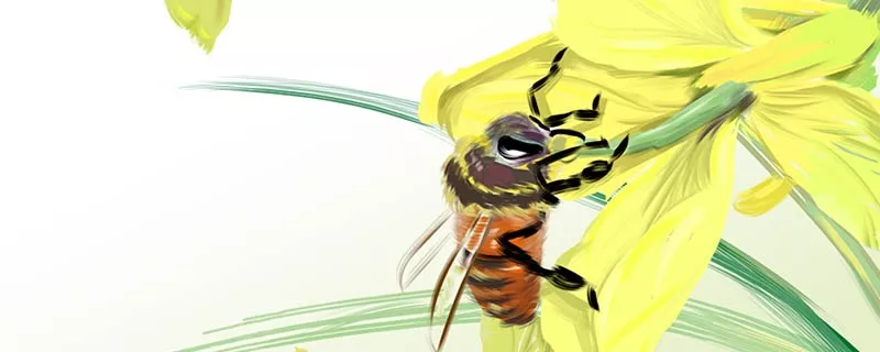蜜蜂1.jpg