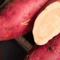 红薯多久能蒸熟