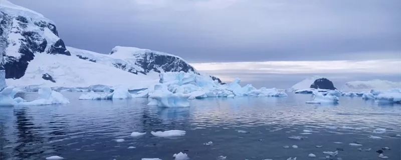 摄图网_501619311_banner_南极冰川风景（企业商用）_副本.jpg