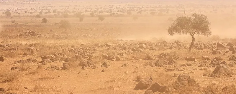 沙漠-32.jpg