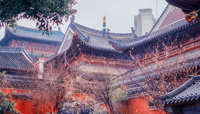 摄图网_500822683_banner_红墙琉璃瓦的寺庙（企业商用）_副本.jpg