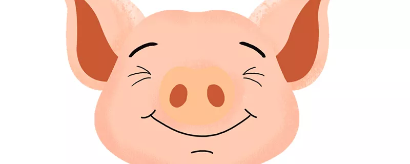 猪9.jpg