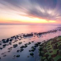 海龟是不是长寿的海洋生物