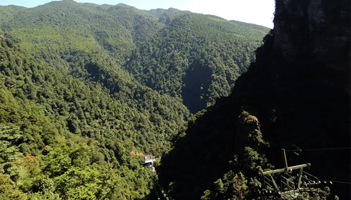 摄图网_500664848_banner_井冈山绵延山景（企业商用）_副本.jpg