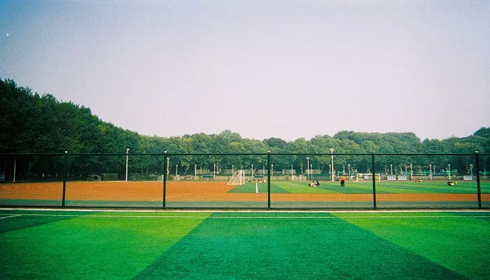 学校 (11).jpg