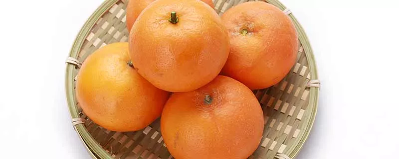 橘子23.jpg