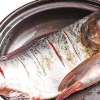 胖头鱼的营养价值及营养成分