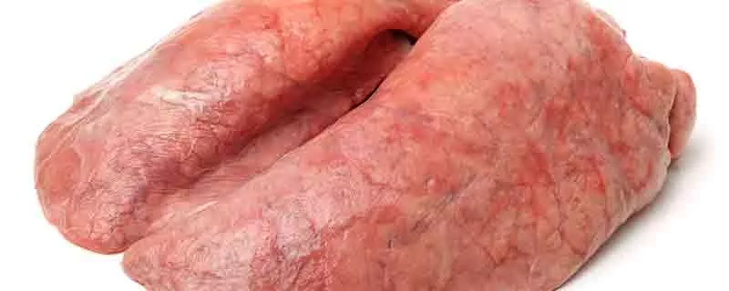 猪肺.jpg