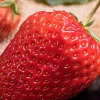 如何挑选草莓，挑甜草莓的4个技巧