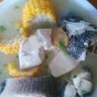 黑鱼玉米豆腐汤