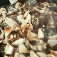 豆腐炖鲢鱼