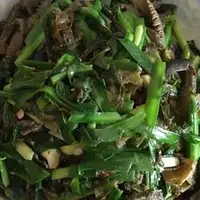韭菜炒海蜈蚣