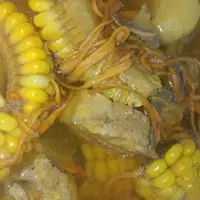 虫草龙骨汤