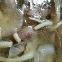 凤尾菇番鸭汤