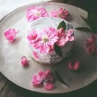 简单免打发的 桃花香草裸蛋糕