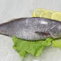 鳘鱼