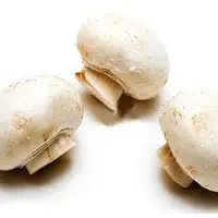 珍珠白蘑