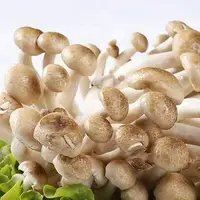 蟹味菇