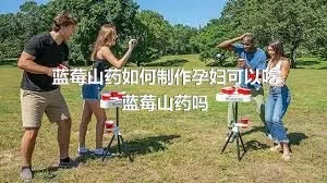 蓝莓山药如何制作孕妇可以吃蓝莓山药吗