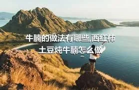 牛腩的做法有哪些,西红柿土豆炖牛腩怎么做