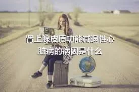 肾上腺皮质功能减退性心脏病的病因是什么